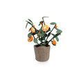 Plante Décorative Oranger en Feutre – Oranger