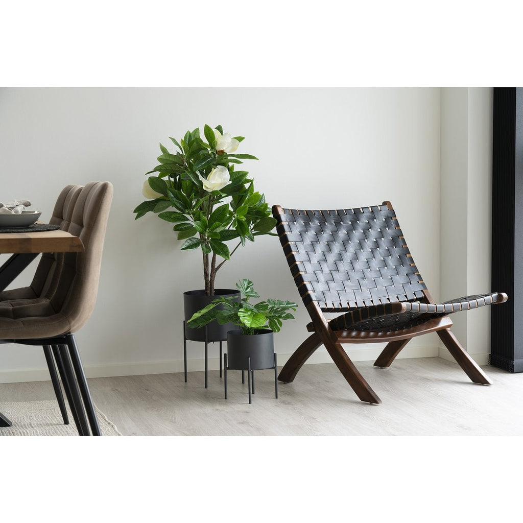 Fauteuil Perugia en situation dans un salon moderne avec plantes et décoration minimaliste.