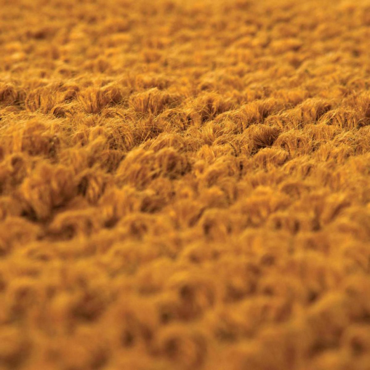 Zoom sur la texture des fibres de jute teintées en jaune moutarde chaud.