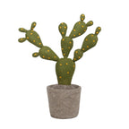 Plante Décorative Cactus en Feutre – Cactus