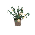 Plante décorative citronnier entièrement fabriquée en feutre, feuilles vert sauge ovales et petits citrons jaunes ronds avec moitiés stylisées, pot cylindrique en feutre gris taupe, vue en perspective 3/4 sur fond blanc, hauteur 56 cm, style nordique naturel