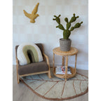 Plante Décorative Cactus en Feutre – Cactus